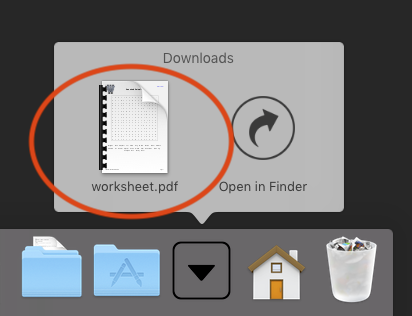 Downloads folder on Mac